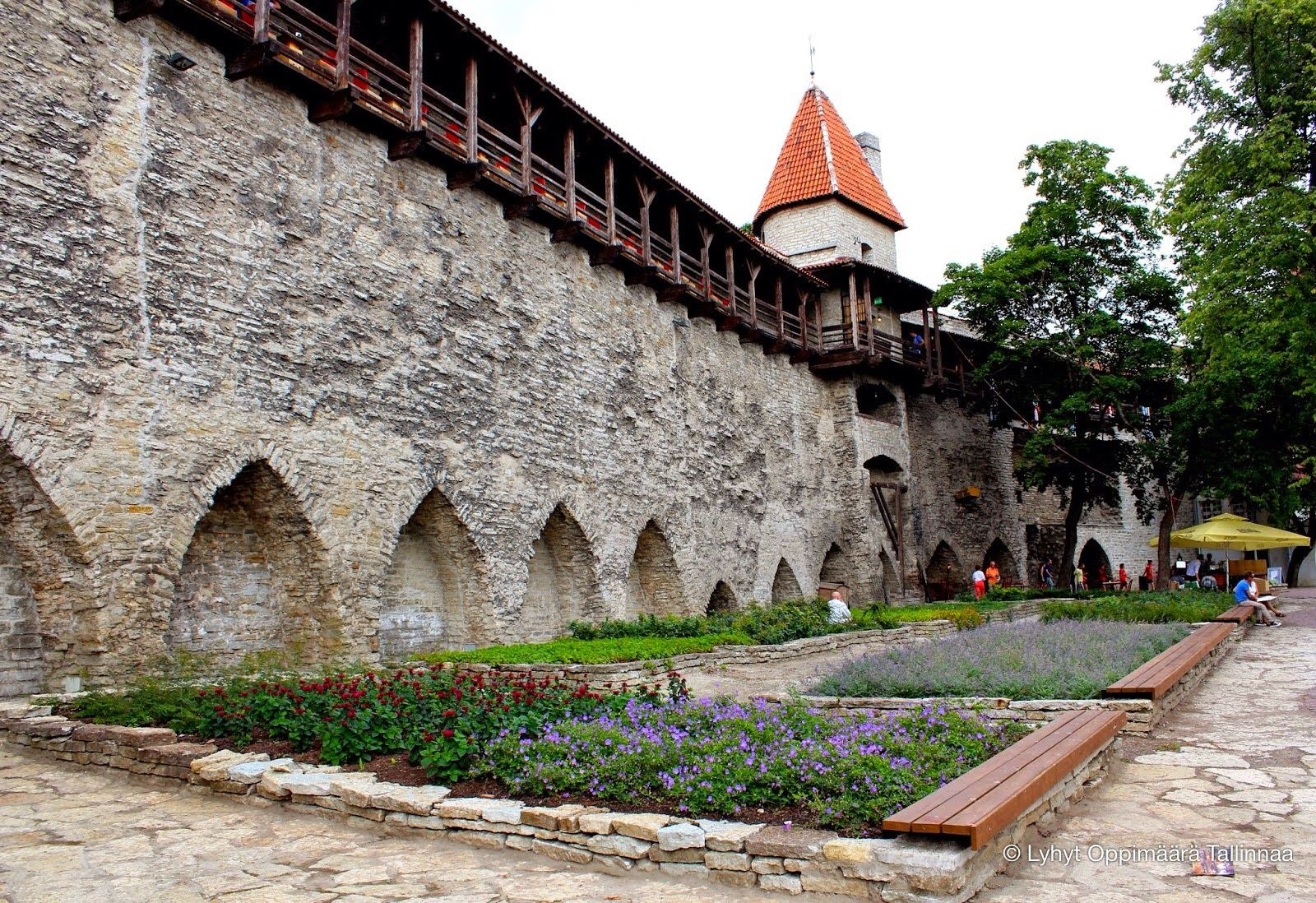 Tallinnan Vanhakaupunki 5239