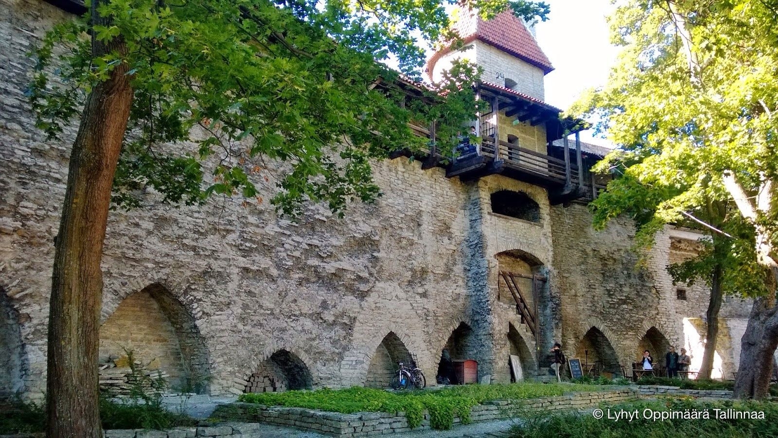 Tanskan Kuninkaan Puutarha Tallinna (3)