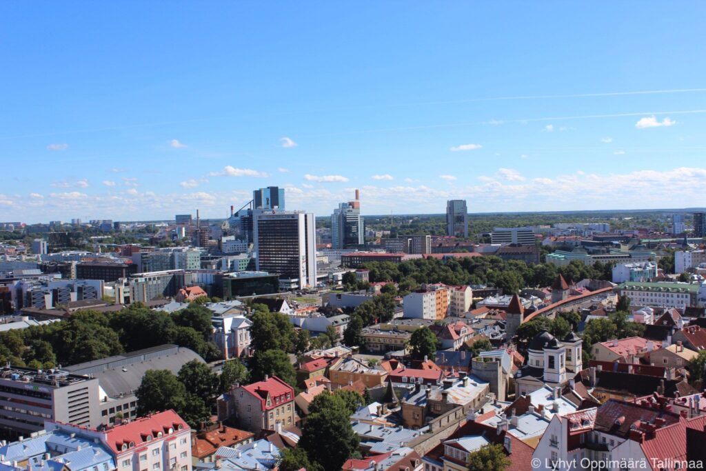 Olevisten Kirkon Torni (1)