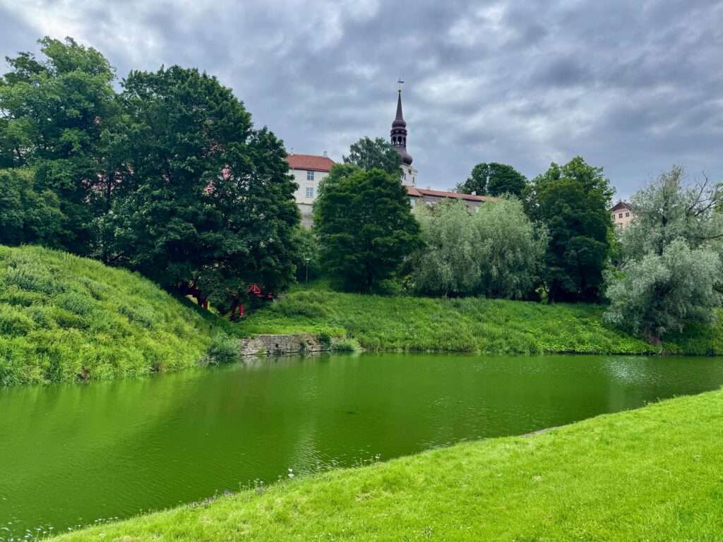 Toompark Tallinna 49